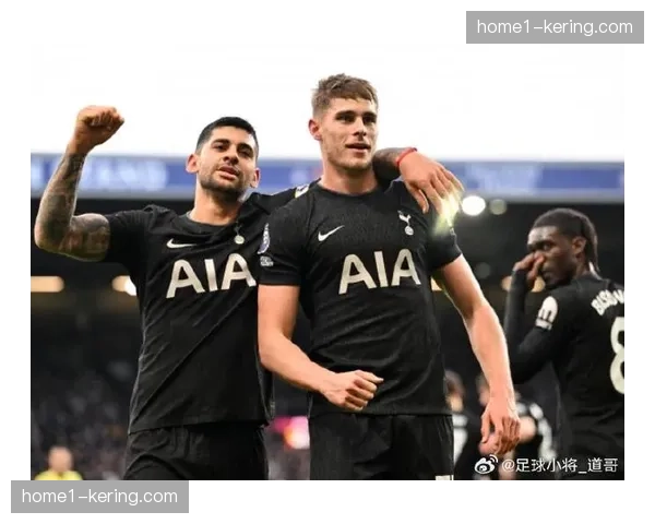 热刺罗梅罗戴维斯乌多基伤缺 后防线重组迫在眉睫